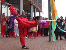 Xia Quan Tai Chi Kung Fu Nederland Rotterdam